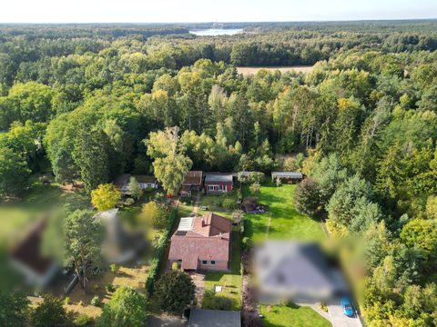 Umgebung: Wald und See