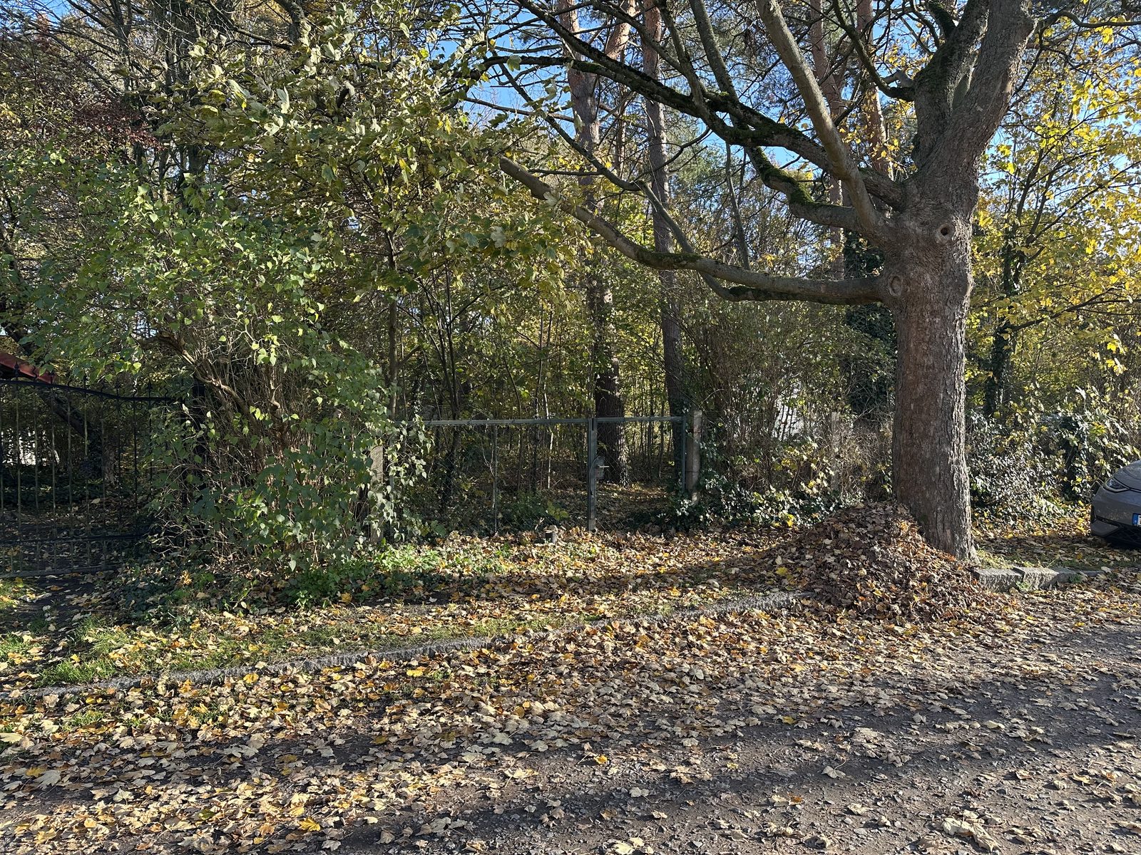 Baugrundstück in Oranienburg
